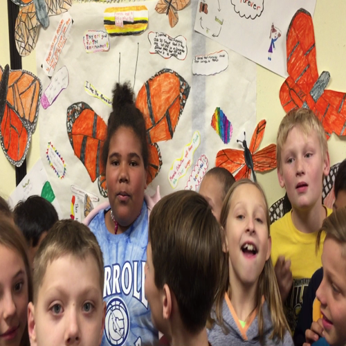 Monarch Butterfly for IN State Insect