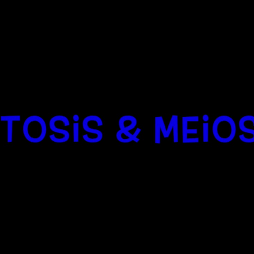 Mitosis and Meiosis Rap Vid