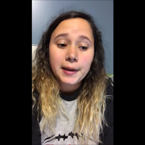 Are you my mother? Lesson Plan Explained