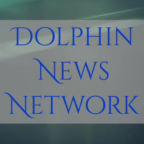 Dolphin News Network 12 1 17