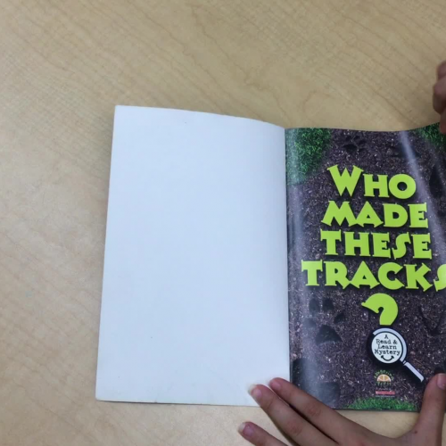 Who Made These Tracks