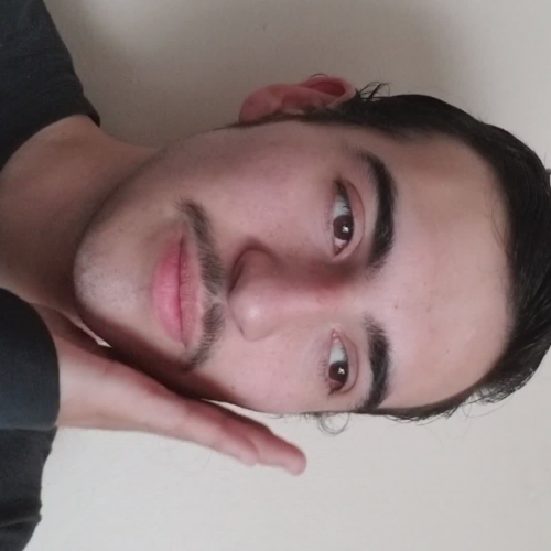 3.02 Describe the Family Visual Presentation 