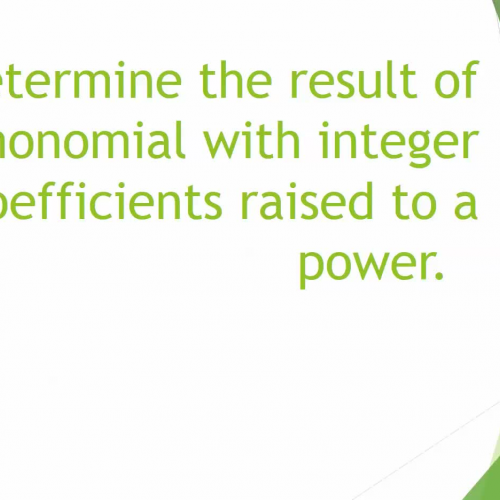 Determine the result of a monomial with integer coefficients raised to a power