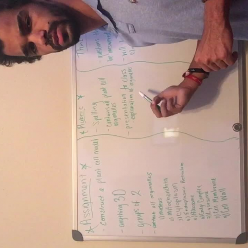 Plant Cell Model Project for Students
