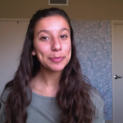 Amelia Bedilia Idiom lesson