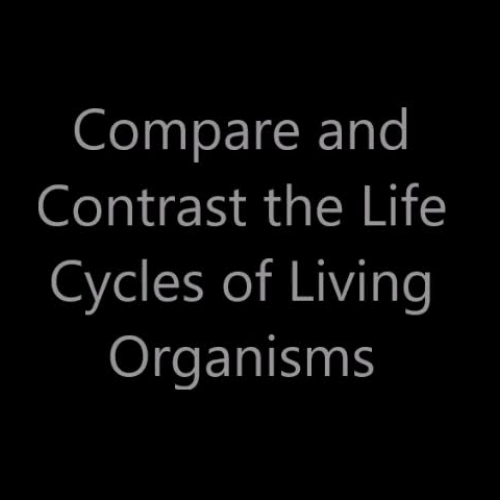 Life Cycles Lesson Plan