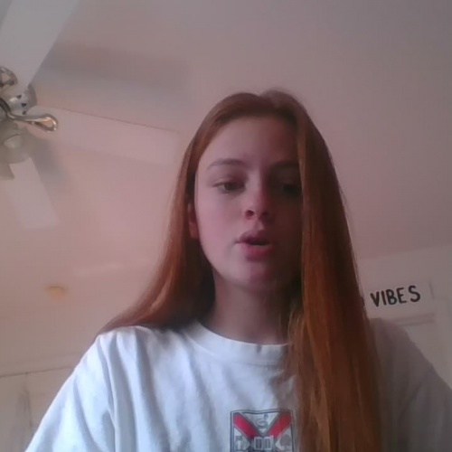 03.02 Describe the Family Visual Presentation 