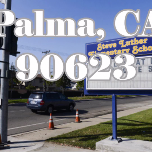 Luther Lion Broadcast - Trial 2