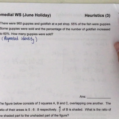 Repeated Identity (4)