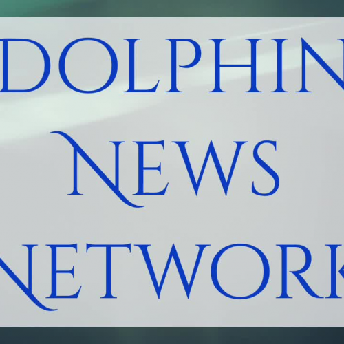 Dolphin News Network 12 15 17