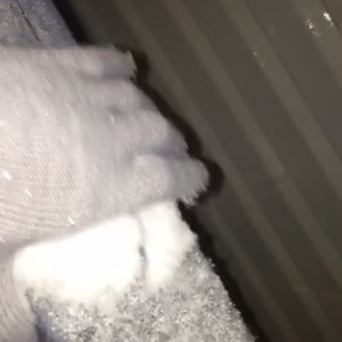 Snow Video
