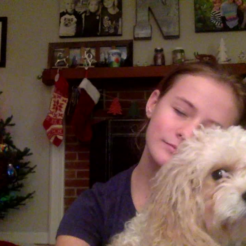 03.02 Describe the family