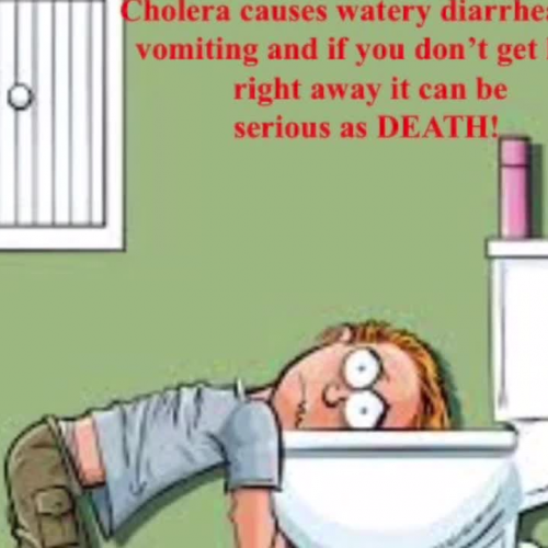 Cholera PSA