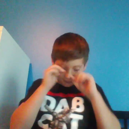 FLVS 3.02 Spanish Assignment