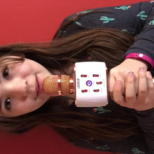 Spanish 1 Describe the Family Visual Presentation