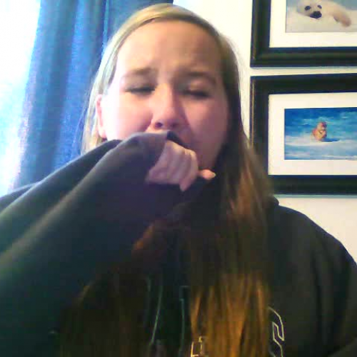 3.02 Describe the Family Visual Presentation