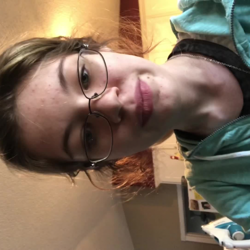 03.02 Describe the Family Visual Presentation