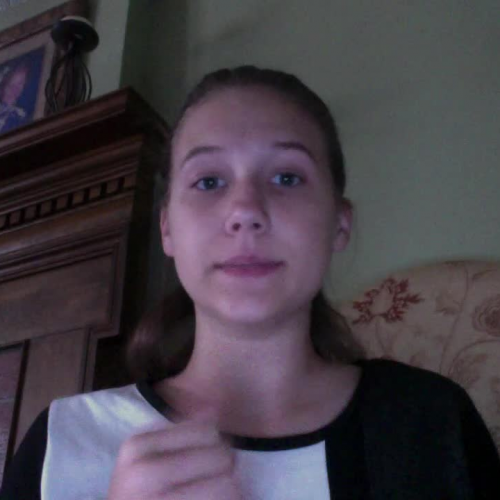 Spanish 1 3.02 Assignment