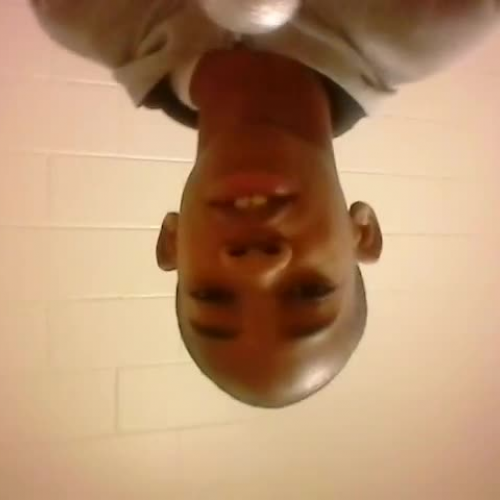 5th Grade Social Studies and Technology PBL  (The lives of Freed Slaves)