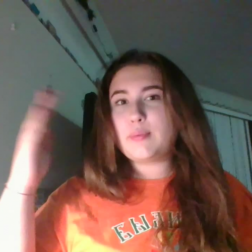 03.02 Describe the Family Visual Presentation