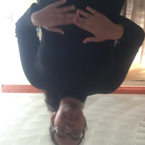 03.02 Describe the Family Visual Presentation