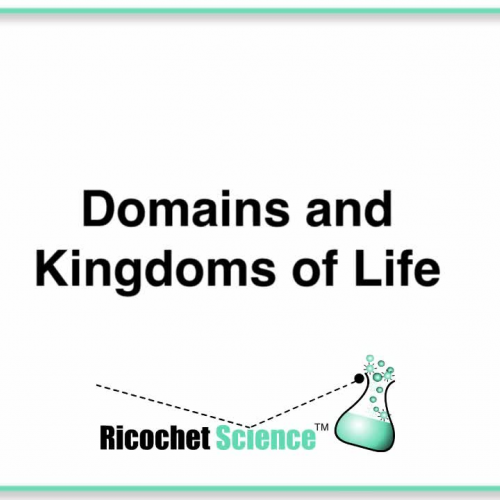  RicochetScience's video