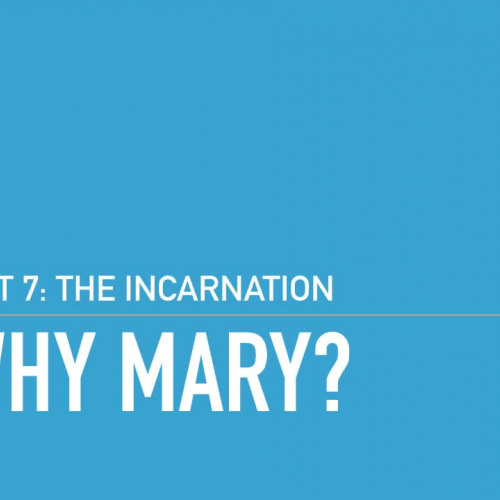 Why Mary in Salvation History?