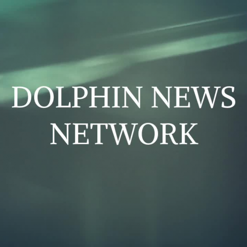 Dolphin News Network 1 12 18