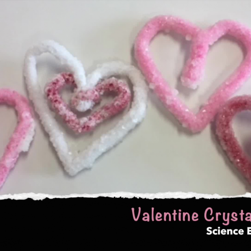 Valentines Crystal Heart Science Experiment