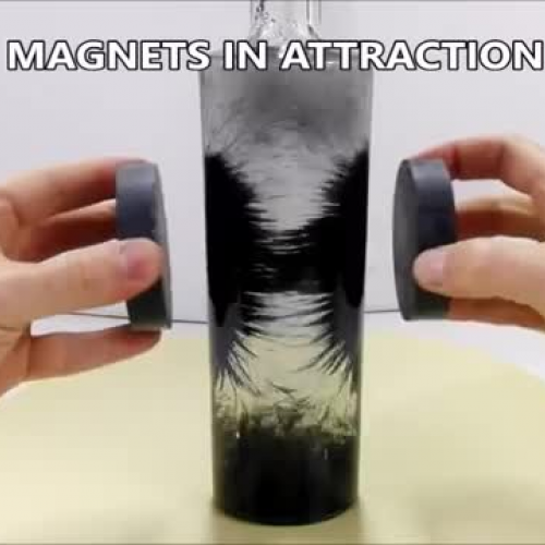 Magnetic Field 