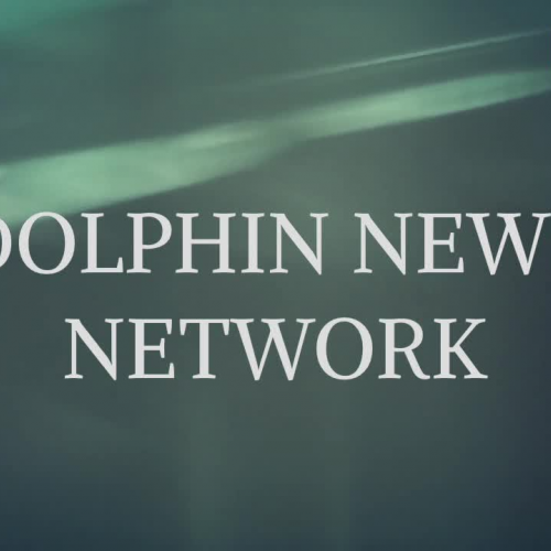 Dolphin News Network 2 9 18
