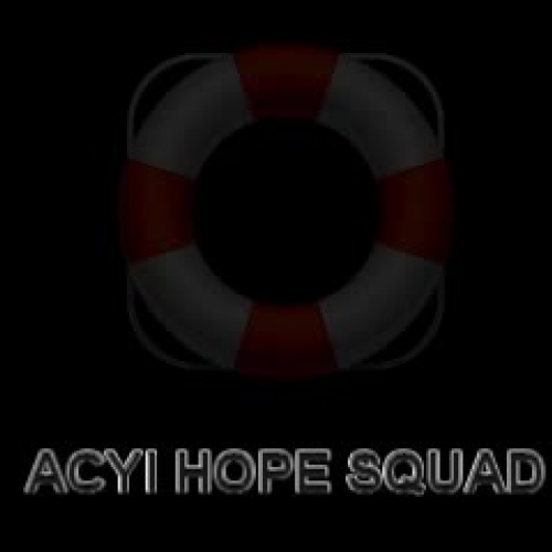 Hope Squad Voting 2018