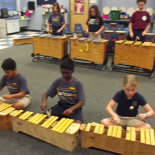 18 Panther Mallets "Ding Dong" by Orff