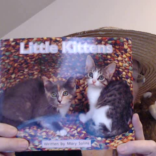 Little Kittens (DRA Level 2) Read Aloud