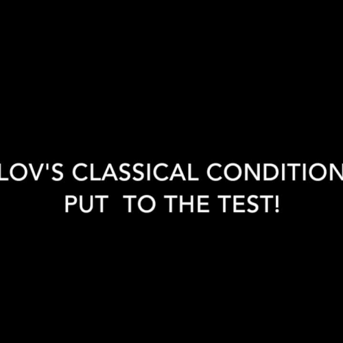 Pavlov's Classical Conditioning Put to the Test!