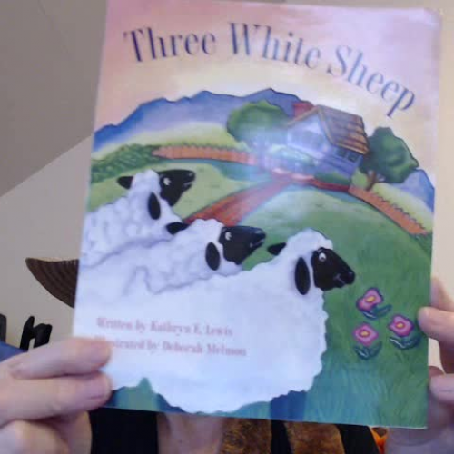 Three White Sheep (DRA Level 2) Read Aloud