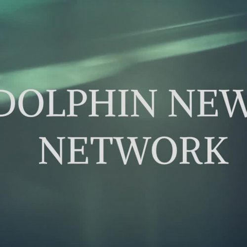 Dolphin News Network 2 23 18