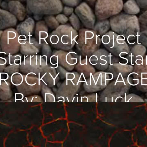 Pet Rock project