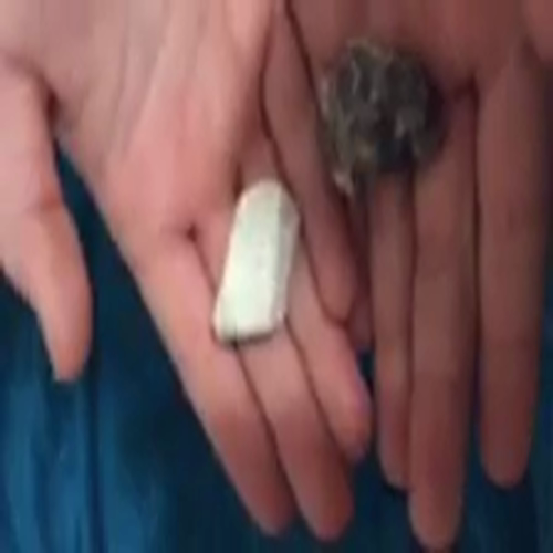 Molly Marble Pet Rock Video