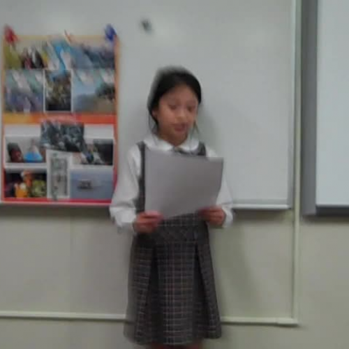 Lily Vietnam Presentation