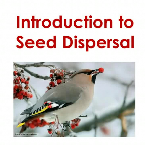 Introduction to Seed Dispersal