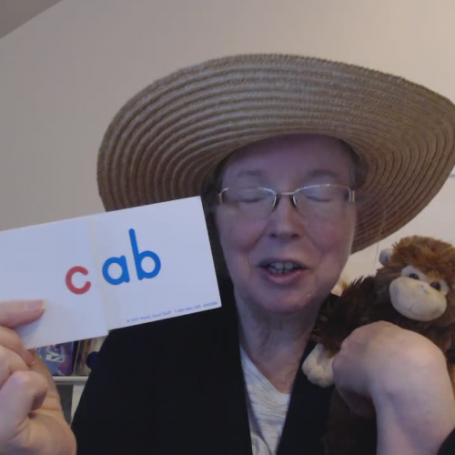 Mrs. Nichols and Tops the Monkey Introduces the 'ab' Word Family