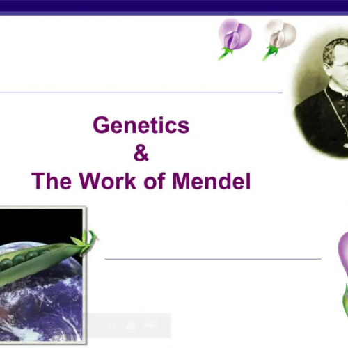 Mendel And Inheritance