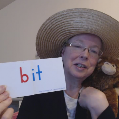 Mrs. Nichols and Tops the Monkey Introduces the 'it' Word Family