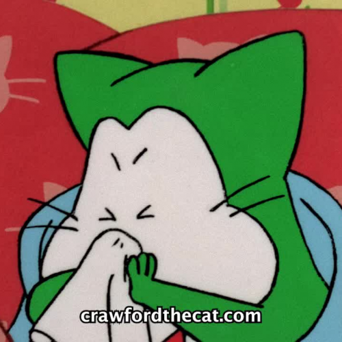 HD_Crawford is a Sneezer Pleaser - Crawford the Cat