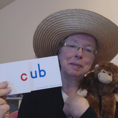 Mrs. Nichols and Tops the Monkey Introduces the 'ub' Word Family