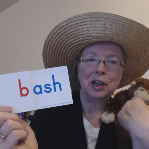 Mrs. Nichols and Tops the Monkey Introduces the 'ash' Word Family