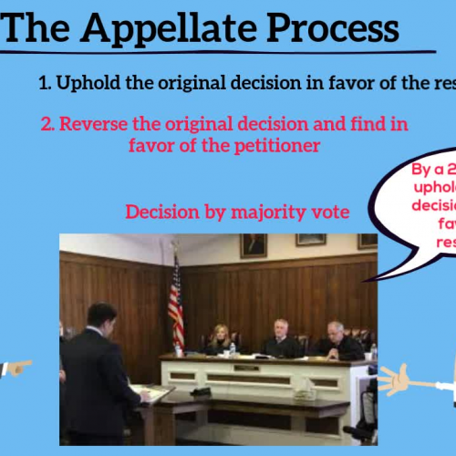 The Appellate Process