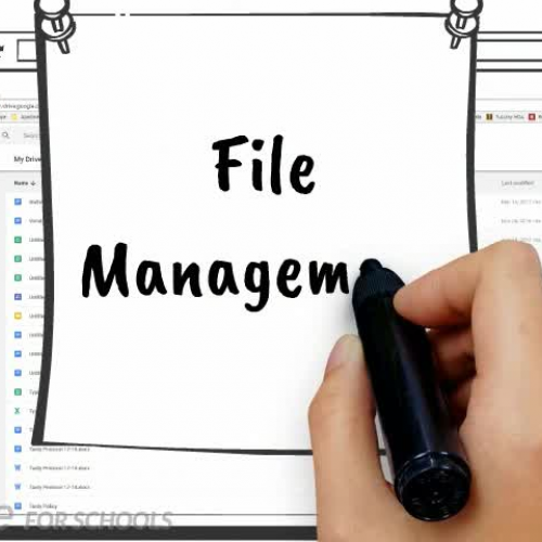 Google Drive File Management