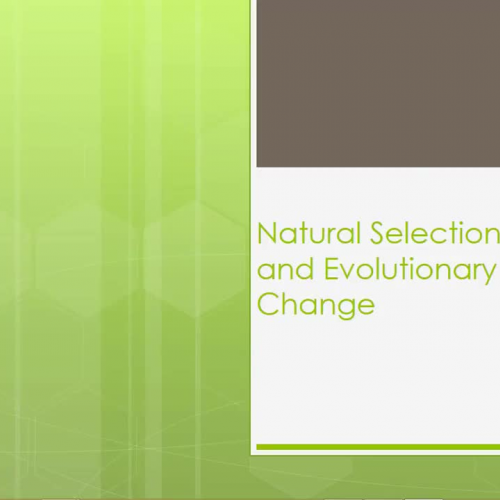 STUDYFORBIO: Natural Selection (Intro to Evolution)